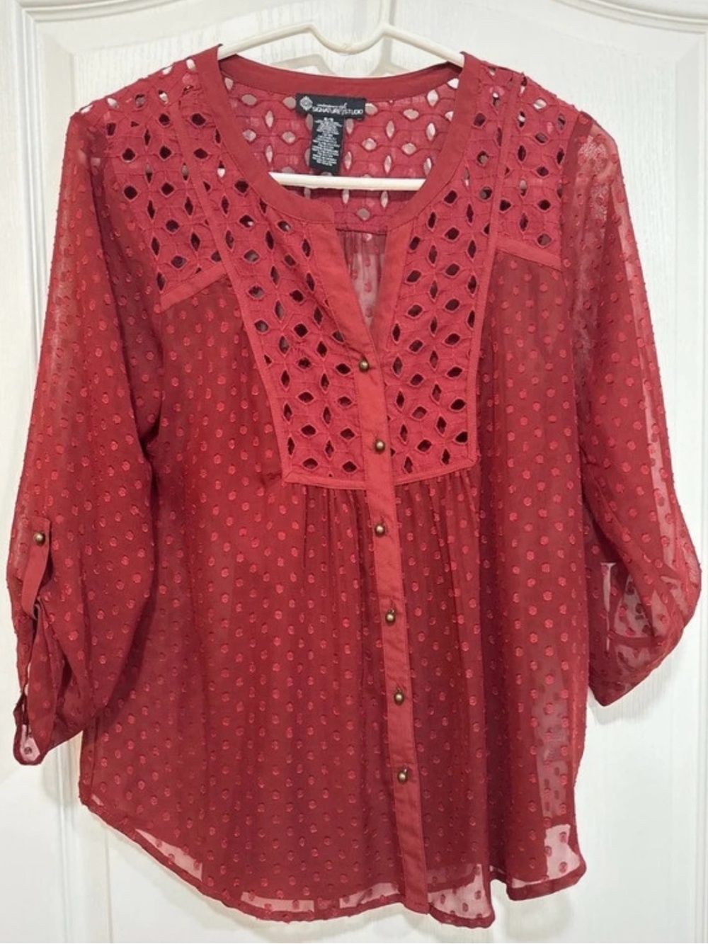 Signature Studio Red Swiss Dot Lace-Yoke Button Front Blouse